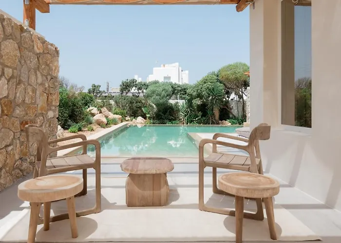 Mikri Santa Maria Beachvilla Pool Paros 别墅