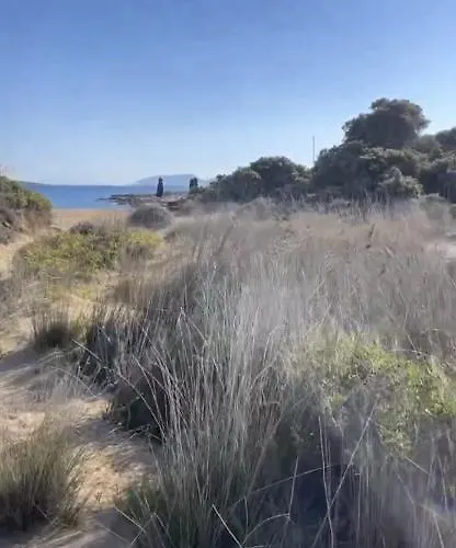 Mikri Santa Maria Beachvilla Pool Paros 圣玛丽亚