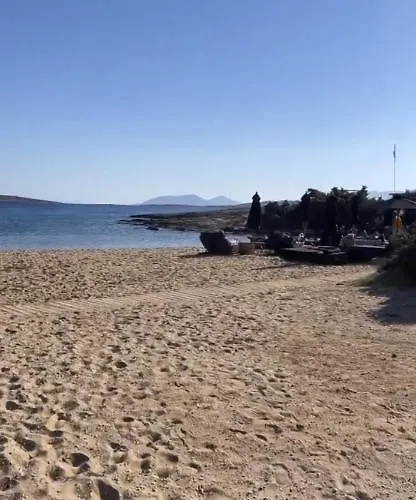 Mikri Santa Maria Beachvilla Pool Paros וילה